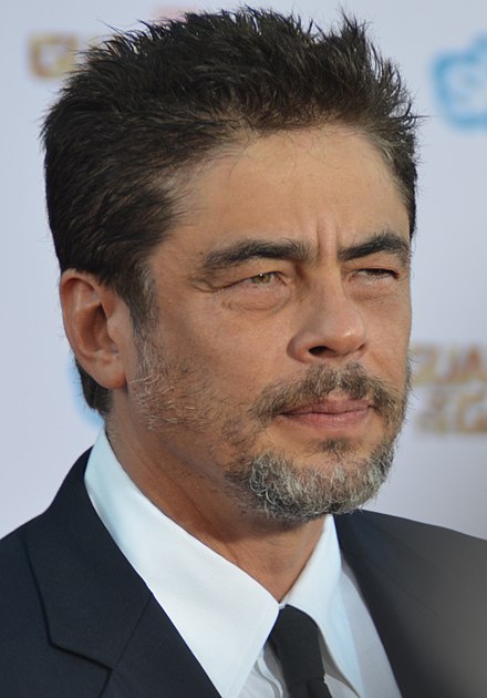 Benicio Del Toro Height