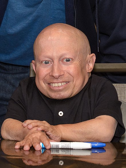 Verne Troyer Height