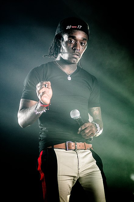 Pitbull Height In Ft feet Cm Meters MrHeight